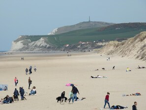 En sandstrand med mennesker og hunde, en bakke med et monument, og huse i baggrunden.