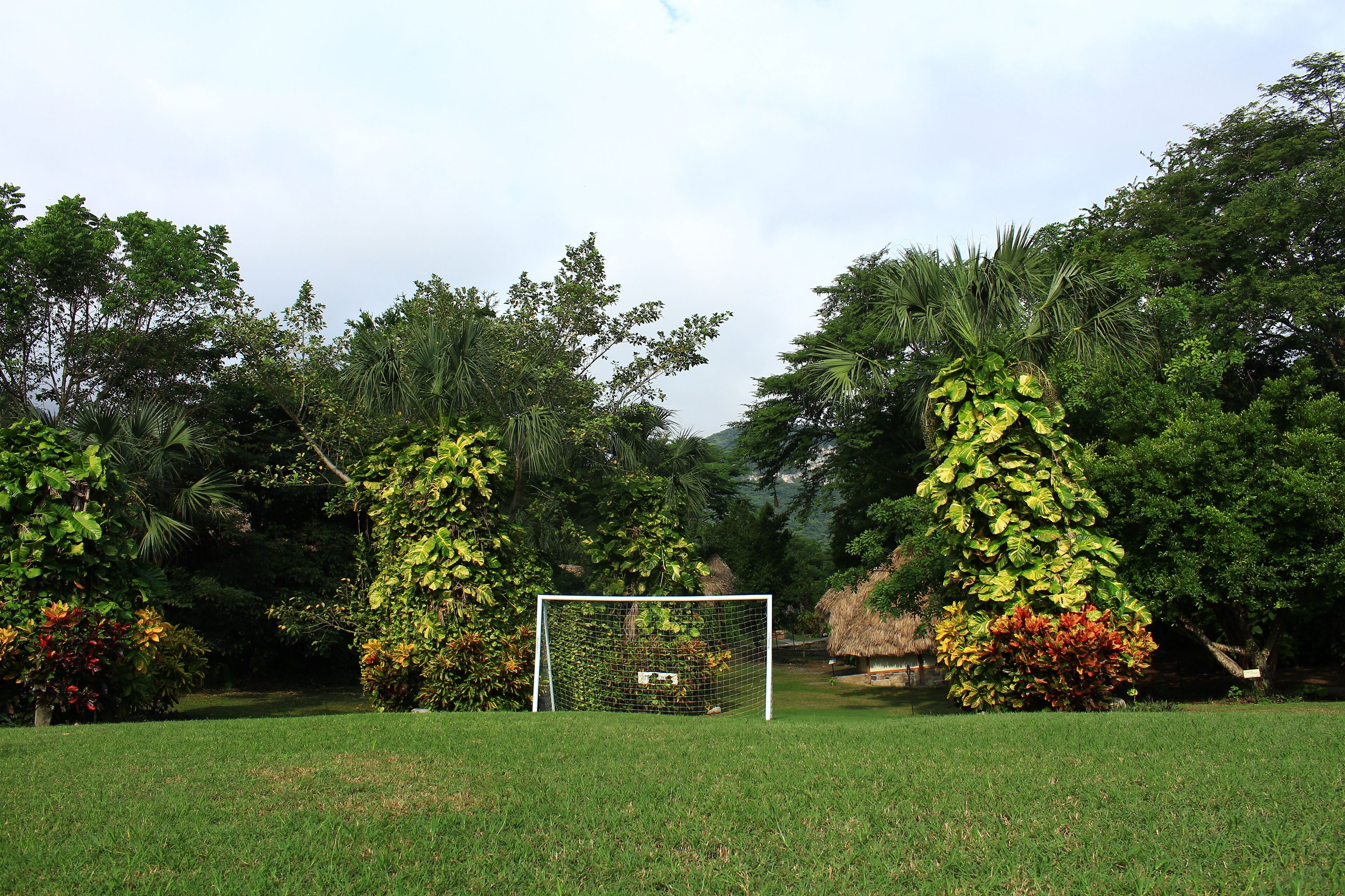 Cancha deportiva