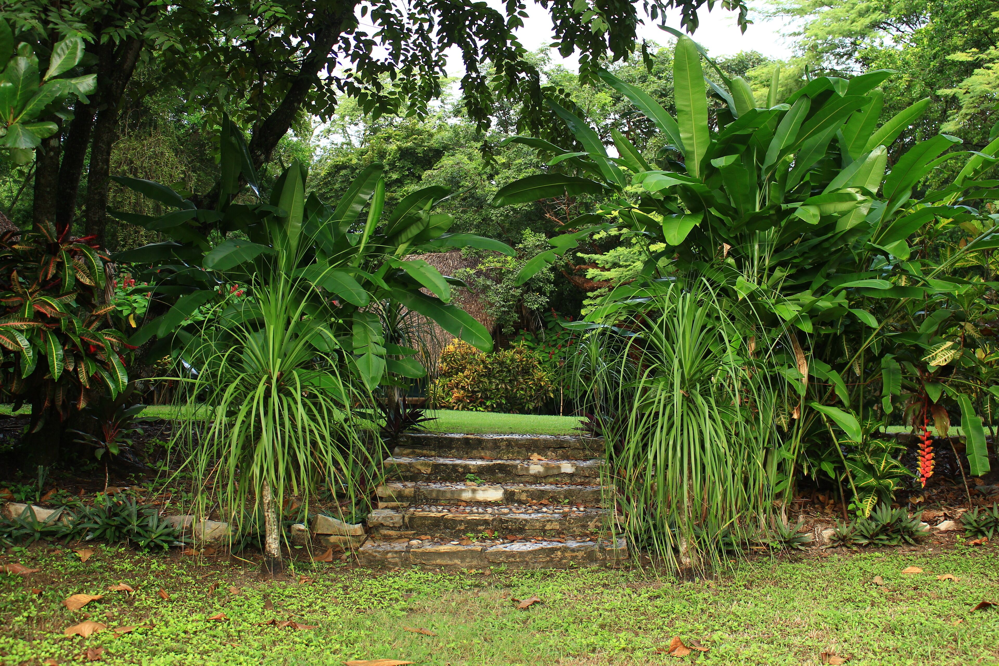 Vista al jardín