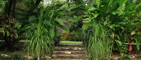 Vista al jardín