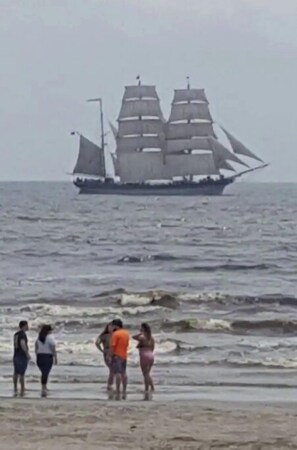 Plage à proximité, chaises longues, serviettes de plage