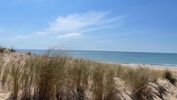 A beach with sand dunes and a clear sky.