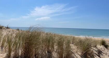 Superb TERRACE, house ALL COMFORT NEAR BEACH, SWIMMING POOL, PAISIBLE. Forest view