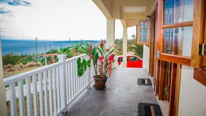 Un balcon avec vue sur l’océan, une plante en pot et une voiture rouge garée devant.