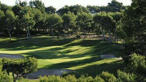 Un campo de golf con un césped bien cuidado, bunkers de arena y varios árboles.