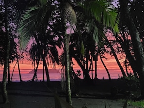 Property grounds - Beach Hotel - Buena Vista + (Manuel Antonio)