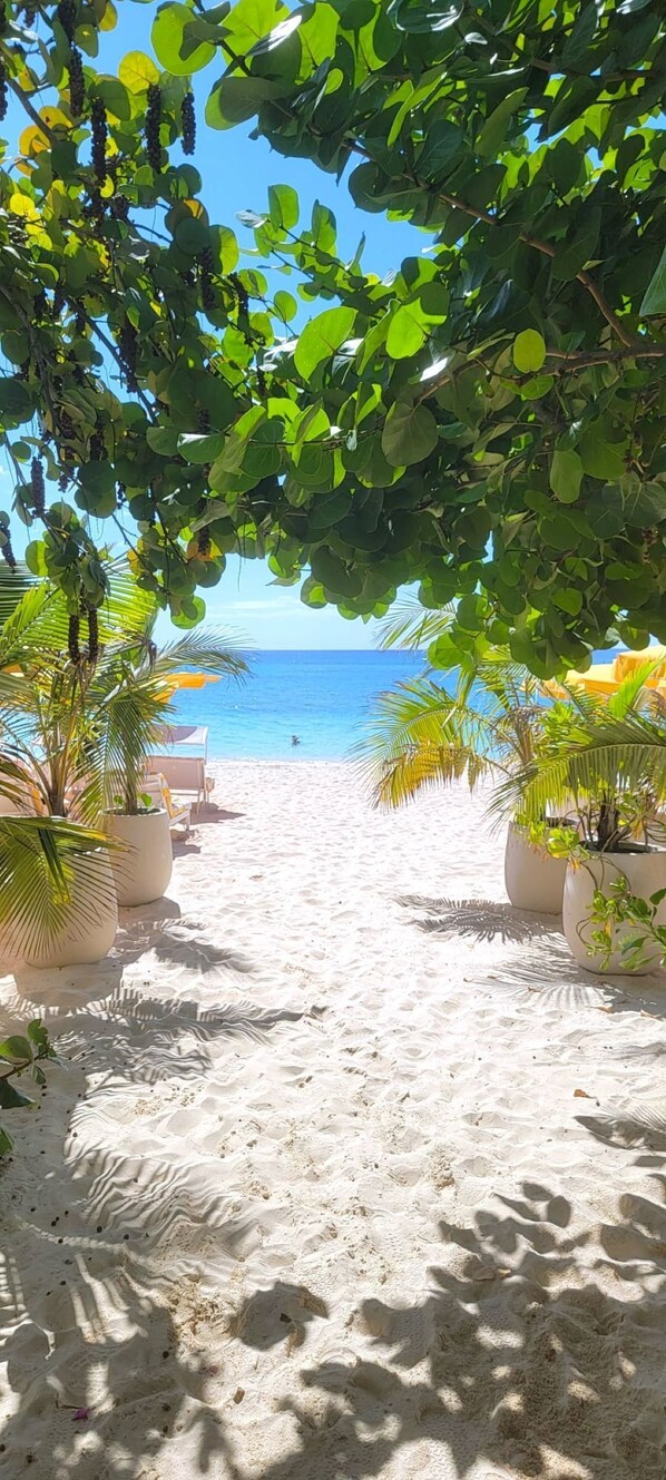 Plage à proximité, serviettes de plage