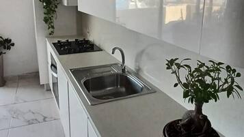 Fridge, oven, stovetop, dishwasher