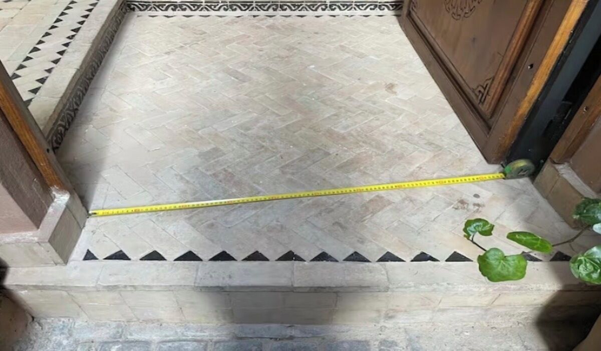 A room with a tiled floor, a measuring tape, and a plant.
