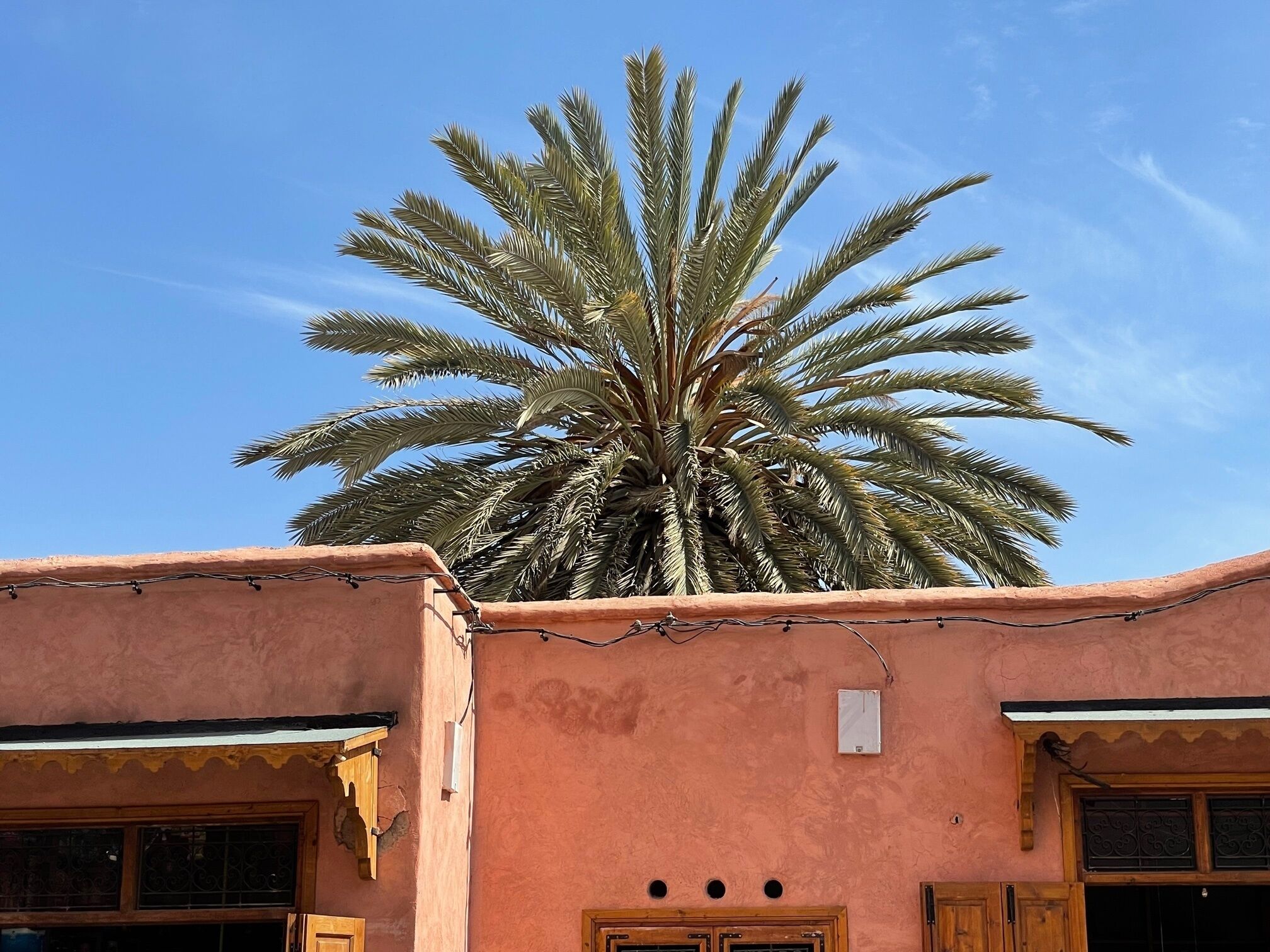 A building with a palm tree in front, a pink wall, and a window with a wooden door.