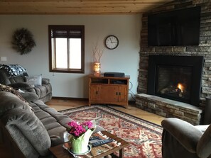 Televisión, chimenea, reproductor de DVD y libros 