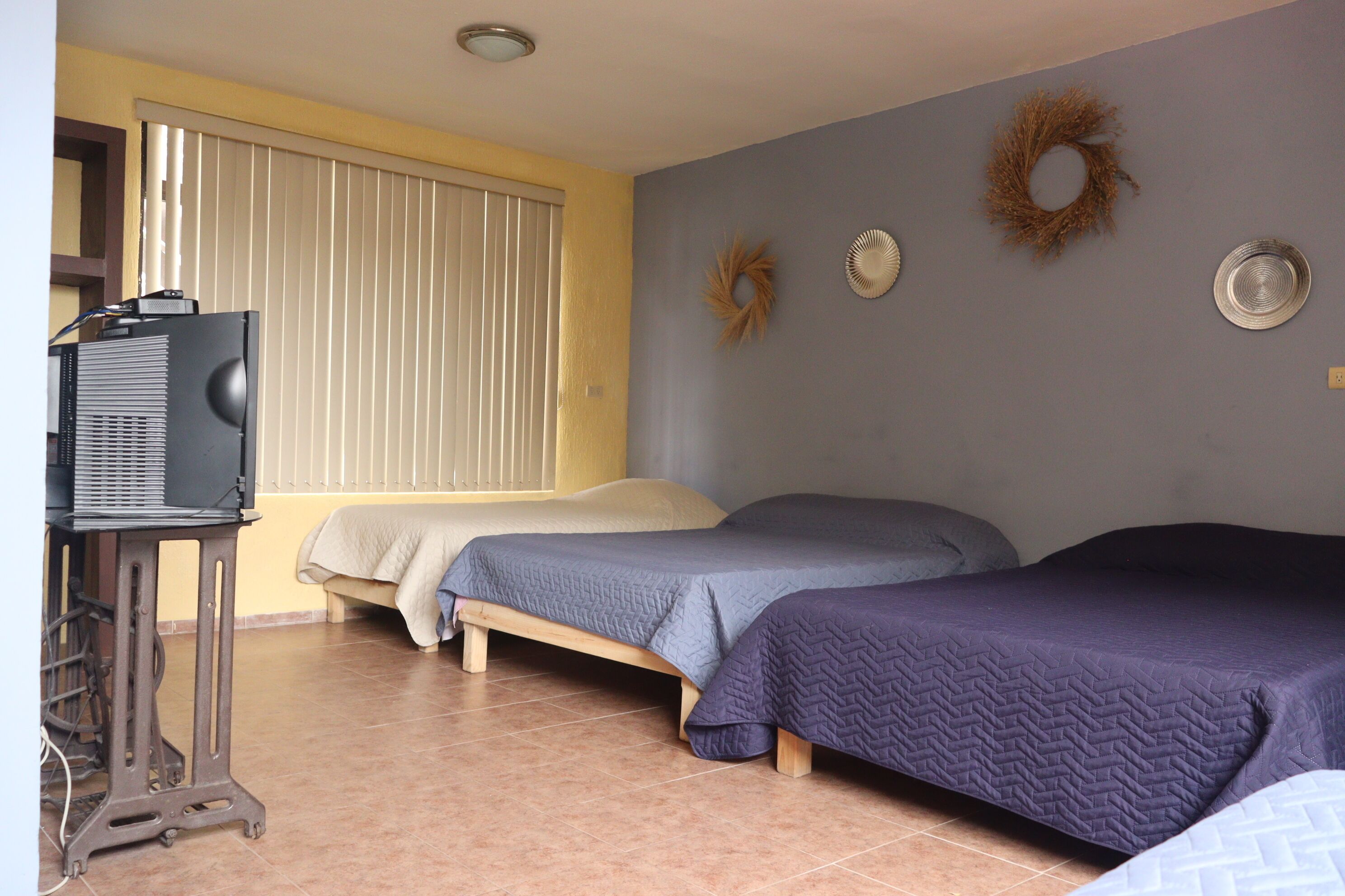 Une chambre avec deux lits, un téléviseur posé sur un meuble et une fenêtre avec des stores.