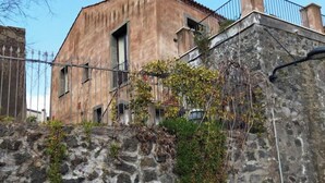 Mur de pedra amb vegetació, un edifici amb teulada en teules i un gat al voral.