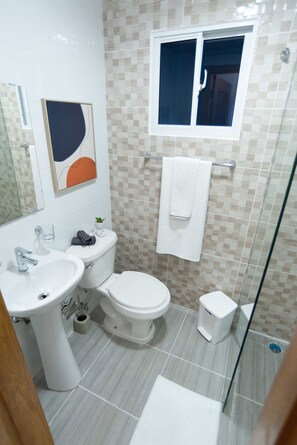 Deluxe Apartment | Bathroom | Separate bathtub and shower, hair dryer, bidet, towels