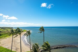 On the beach, sun-loungers, beach towels - Great Location & Oceanview! Steps to the Beach, King Bed, Pool, A/C (Kihei)