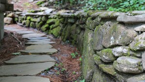 Ein steiniger Weg führt an einer moosbewachsenen Steinmauer hinauf.