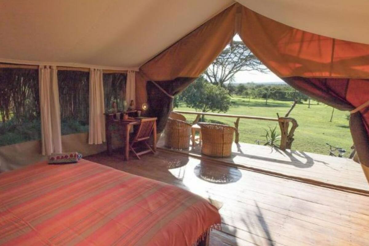 Habitación con tienda de campaña, una cama, una pequeña mesa y sillas. Se ve un área verde al exterior.