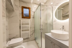 Shower, hair dryer, bidet, towels