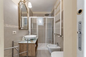 Shower, hair dryer, bidet, towels