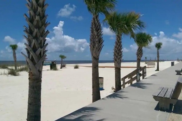 Playa en los alrededores