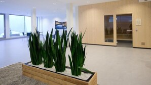 Eine großzügige Lobby mit modernem Design, ausgestattet mit einem Holzbüro, einem großen Fenster mit Aussicht und einer Bepflanzung.