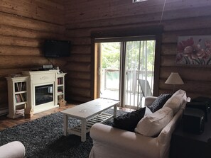 TV, caminetto, videogiochi, lettore DVD