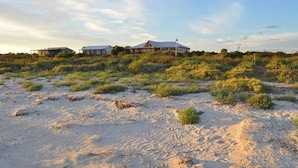Paisaje costero con playa arenosa y vegetación escasa.