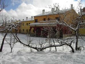 Esterni