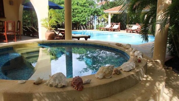 A swimming pool with a stone edge, surrounded by lounge chairs and potted plants.