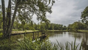 A tranquil riverside scene with a wooden dock extending into a calm body of water, surrounded by lush greenery and trees. - In the heart of nature, property 15 minutes from Chateau de Chambord! (La Ferté-Saint-Cyr)