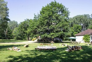 Property grounds - In the heart of nature, property 15 minutes from Chateau de Chambord! (La Ferté-Saint-Cyr)