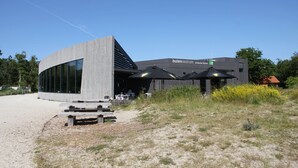 Un edificio moderno con fachada curva y techo plano, que cuenta con mesas al aire libre y un letrero que indica una escuela o institución educativa.
