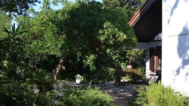 A garden with a stone pathway leading to a table and chairs, surrounded by dense greenery and trees.