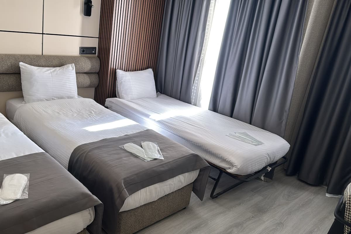 Standard Triple Room, 3 Single Beds, City View | Premium bedding, minibar, in-room safe, desk