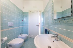 Shower, hair dryer, bidet, towels