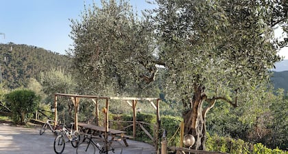 Appartement 'Casa chicken - mare, monti e bikers' avec vue sur les montagnes, piscine, et Wi-Fi