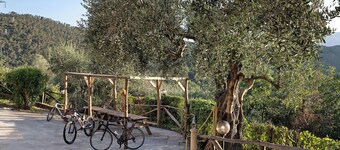 Apartment 'Casa chicken - mare, monti e bikers' with Mountain View, Shared Pool, Garden & Wi-Fi