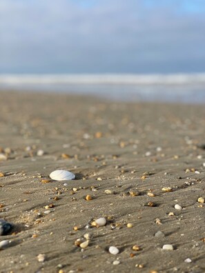 Beach nearby - Cottage in the middle of a golf course, ideal for families or golfers (Ploemel)