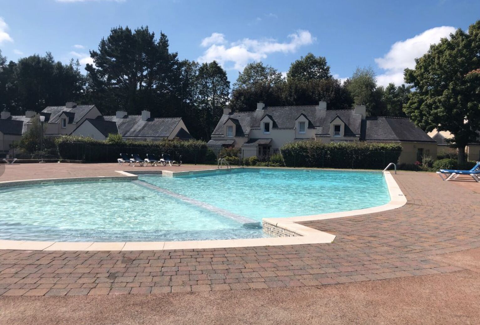 Une piscine dont le bord est recouvert de carreaux, entourée d’une terrasse en briques. On y trouve des chaises longues et un arbuste en arrière-plan.