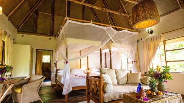 Unclassified image, 1 of 10, button - Bwindi Safari Lodge (Nkuringo)