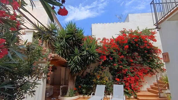 A pool area with two white lounge chairs, surrounded by lush greenery and red flowers. - Casa Can Alou, authentic Mallorquin house nestled in the village of Porto Colom (Felanitx)