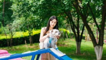 A person holding a dog on a blue and white structure in a green park.