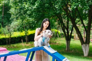A person holding a dog on a blue and white structure in a green park.