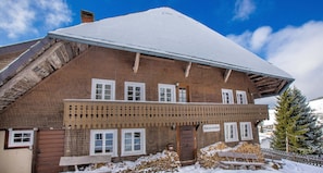 Exterior - Ski-in/out fireplace view for 8 pers. 80 sqm, feel-good holiday flat in the Black Forest (Todtnauberg)