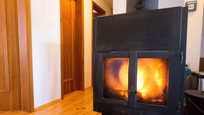 Un poêle à bois avec des flammes apparentes, une porte en bois et un couloir.