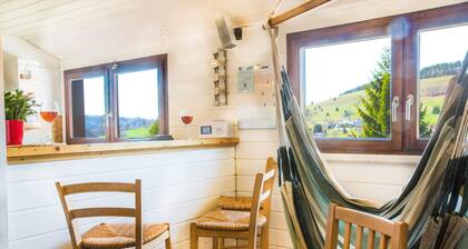 Ski-in/out fireplace view for 8 pers. 80 sqm, feel-good holiday flat in the Black Forest