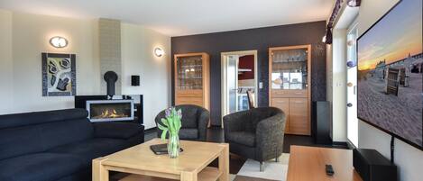 Télévision, cheminée, lecteur de DVD, chaîne hi-fi