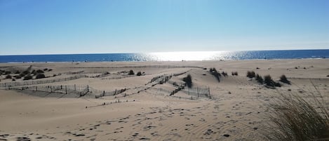 Una spiaggia nelle vicinanze