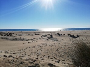 Playa en los alrededores