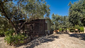A stone-paved courtyard with a rustic building, surrounded by olive trees and potted plants. - Holiday Home "Lilliu" with Mountain View, Garden & Air Conditioning (VILLACIDRO)
